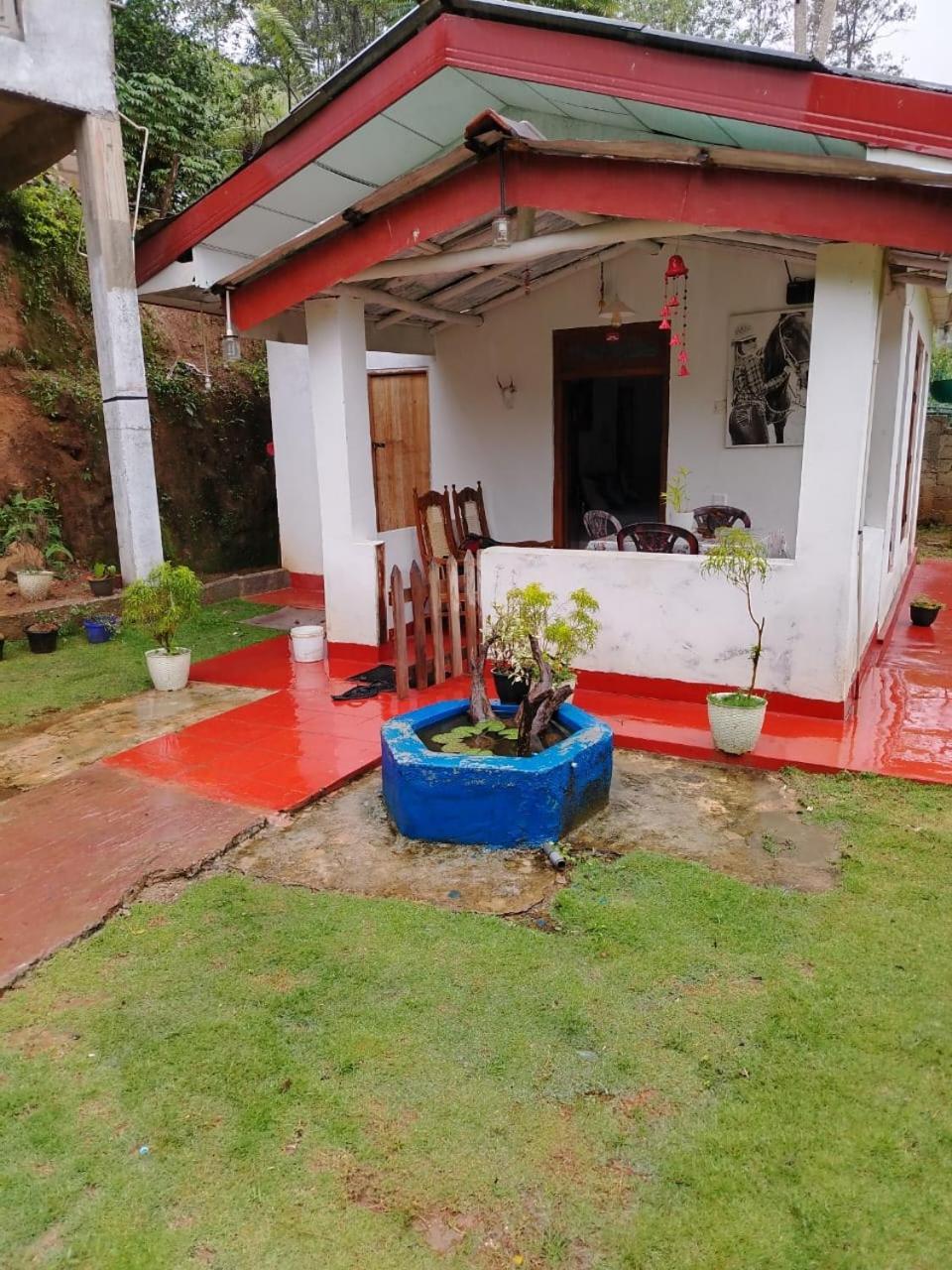 Ella Willow Cottage Εξωτερικό φωτογραφία